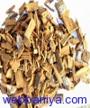 1496352175_PHOTO OF YOHIMBE BARK SAMPLE.JPG